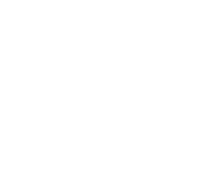 Roam logo